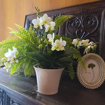 Isabella מלון 3*